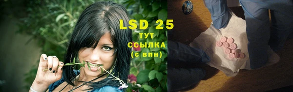 прущие грибы Абдулино