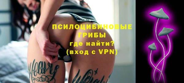 прущие грибы Абдулино
