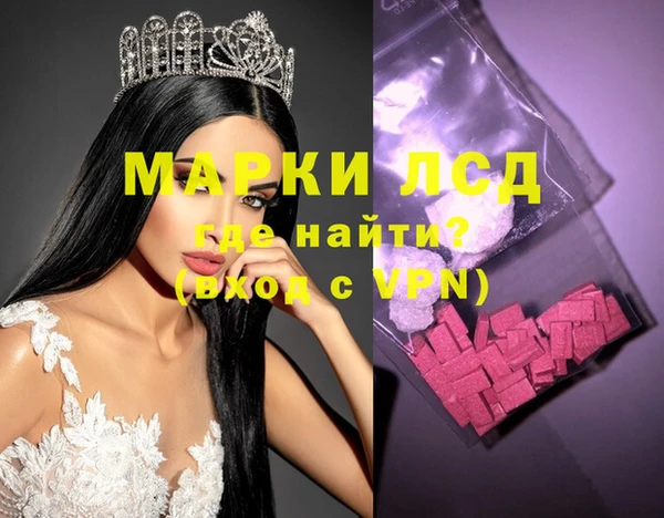 прущие грибы Абдулино