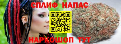 прущие крисы Абакан