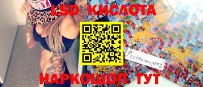 прущие крисы Абакан