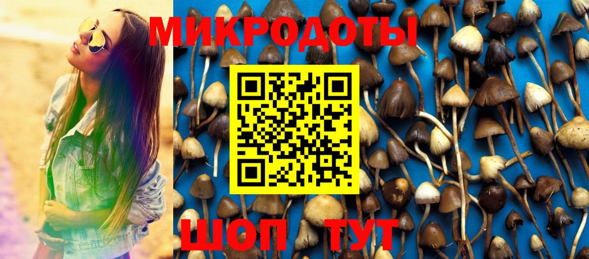 Омск  Галлюциногенные грибы прущие грибы  Вход с VPN 