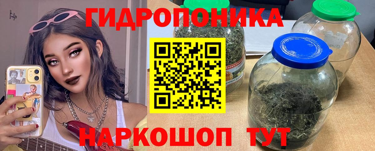 Конопля OG Kush Омск